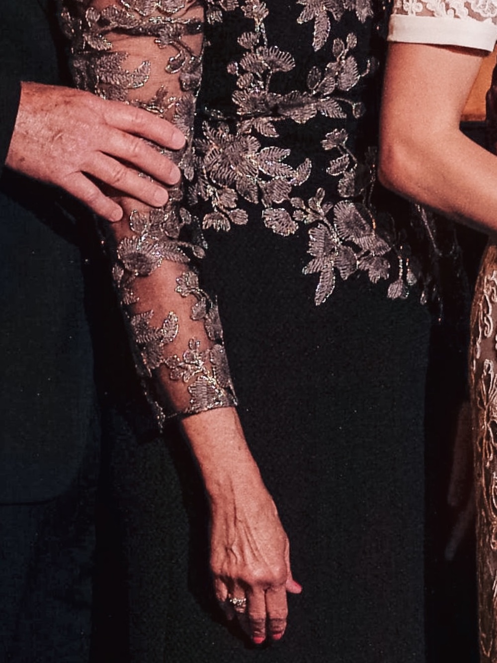 Tadashi Shoji Black Gown with Silver Lace Appliqué | Mother-of-the-bride Dress - Picture 7 of 8